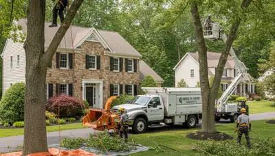Residential tree removal crew trimming trees in Bird In Hand, Lancaster PA for safe, clean home landscaping