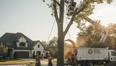 Professional tree removal service in Lancaster, PA by Chop Chop Tree experts