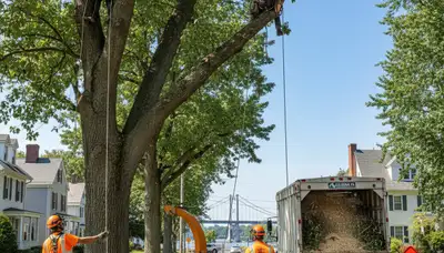 Professional tree removal service in Lancaster, PA by expert arborists at treetrimminglancasterpa.com