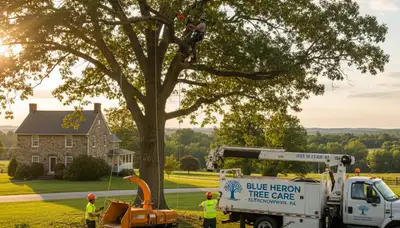 Professional tree removal service in Lancaster, PA for safe and efficient tree cutting